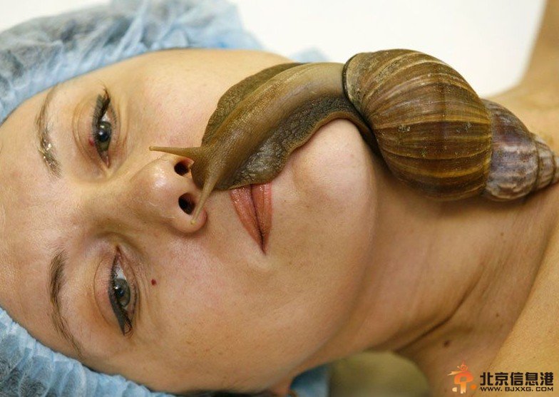 美容院提供蜗牛按摩受追捧 蜗牛按摩法图片
