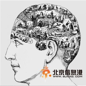 1848年画的颅分区图