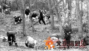全球十大惊悚地点美“人体农场”入选