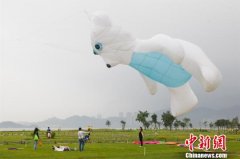 珠海国际风筝会开幕 最大风筝挑战吉尼斯纪录