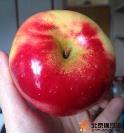 田朴珺左手无名指戴戒指
