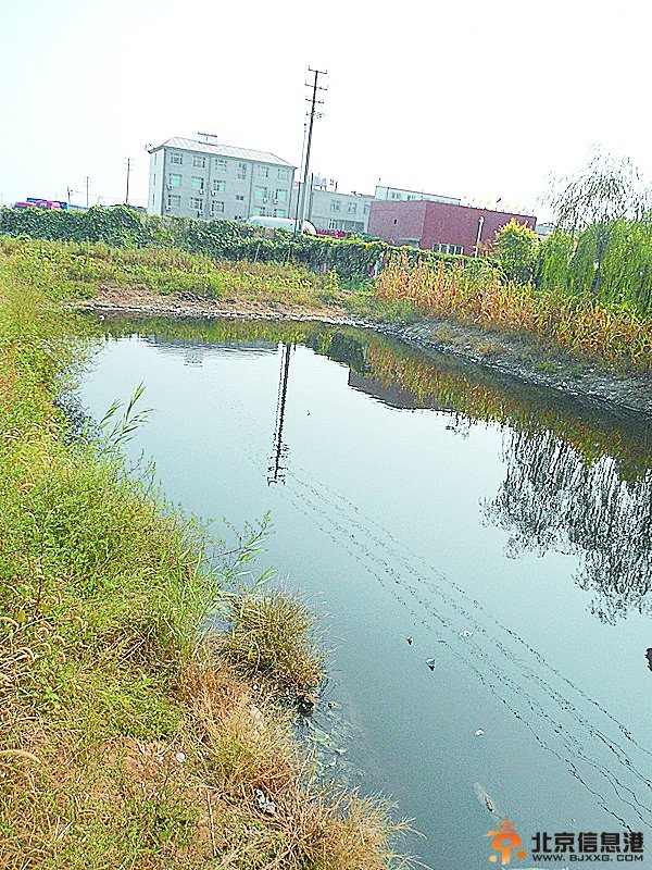 黄骅市区一景观河变臭水沟