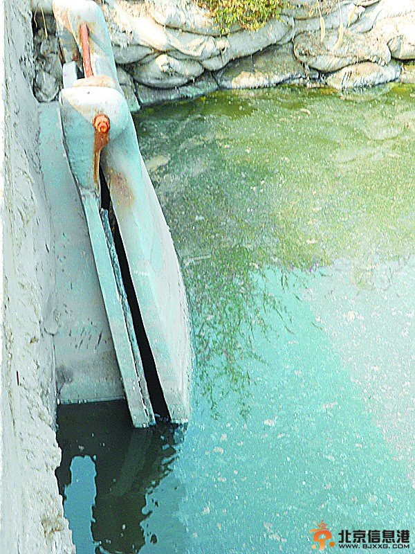 黄骅市区一景观河变臭水沟