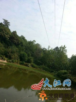(死者张铁新触电后的手)