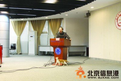 中科大会场“学术猫”跟潘建伟抢镜