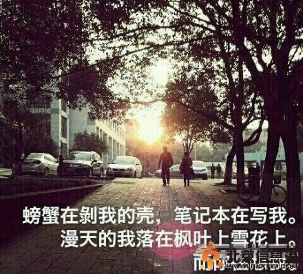 “武大三行情书”网络走红 网友争相模仿(图)
