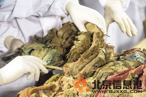 干尸脱衣（图）
