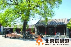 想“象”长椿街[墙根网]