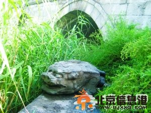 <a href='http://www.bjxxg.cn/beijing/gushi/' target='_blank'><u>故事</u></a>九城:朝宗桥的嵌石和镇水兽[墙根网]