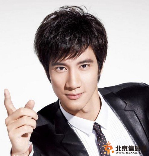 中国最帅男星排行榜：王力宏