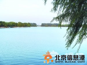 情系八一湖[墙根网]