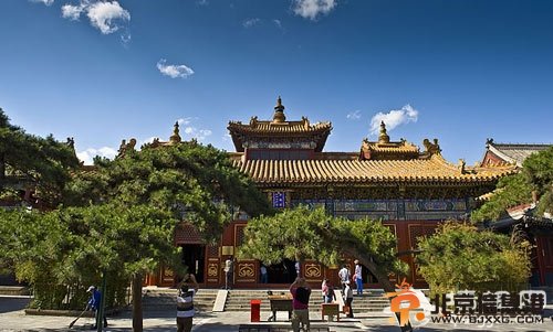 北京故事：雍和宮内“大黑熊”的故事