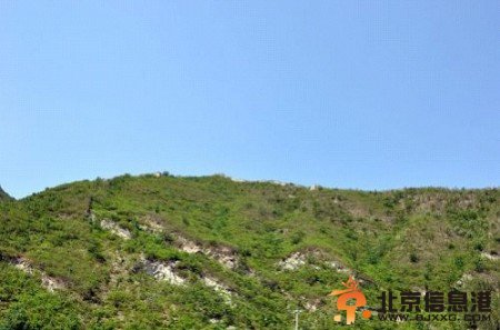 京西边关神龙托梦：消失的古城白羊城[墙根网]