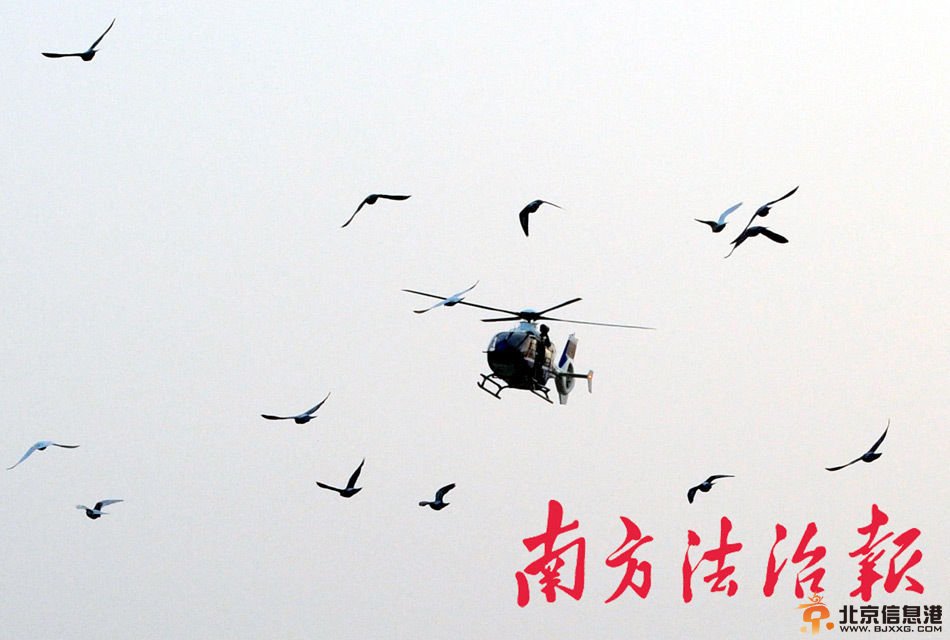 广东上千警力进村扫毒画面