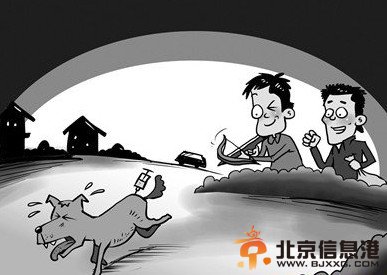 挖墙凿洞偷羊