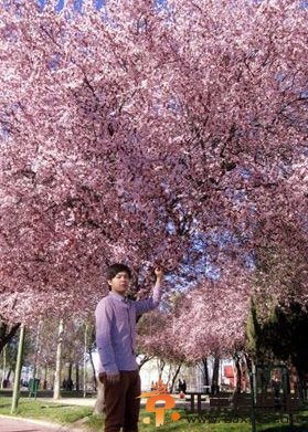 非常完美柏原个人资料 柏原照片 柏原微博 和谁牵手了