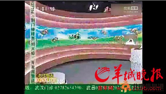 直播中爆粗口斥奢靡官员主持人当场被换下(图)