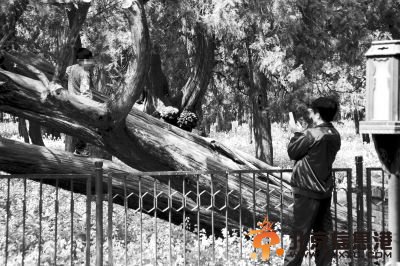 新版旅游合同约束不文明行为游客<a href='http://www.bjxxg.cn/beijing/guji/' target='_blank'><u>古迹</u></a>乱涂鸦或被退团