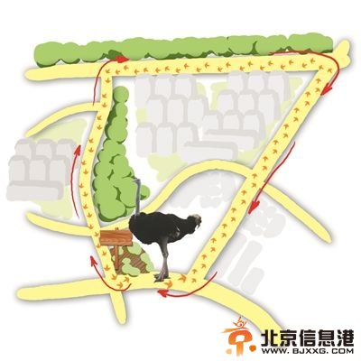 鸵鸟夜奔路线东十里堡路朝阳北路北辰福第保利嘉园