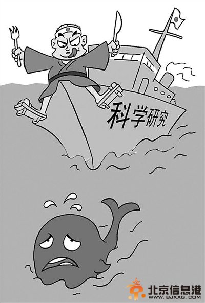 揭秘日本为何非要“吃”鲸肉：以<a href='http://www.bjxxg.cn/edu/wenhua/' target='_blank'><u>文化</u></a>之名谋利
