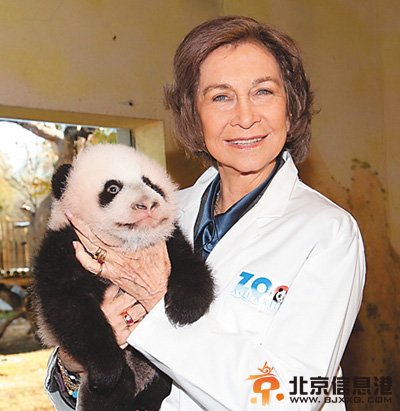 外交舞台上的可爱动物使者（图）