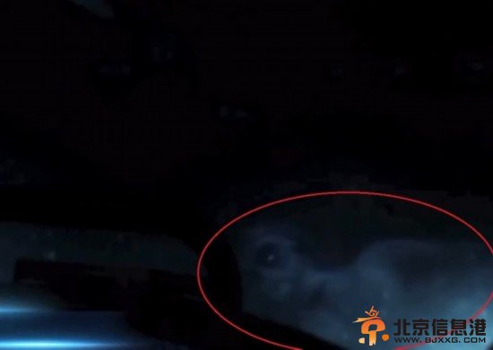 北冰洋疑发现美人鱼 指间有蹼像极外星人！【图】
