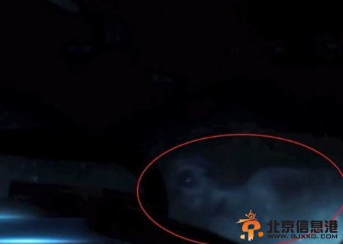 北冰洋疑发现美人鱼 五指间有蹼或为外星生物