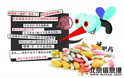 南非吸脂蚊子网上叫卖 物种达人力证该种蚊子不存在