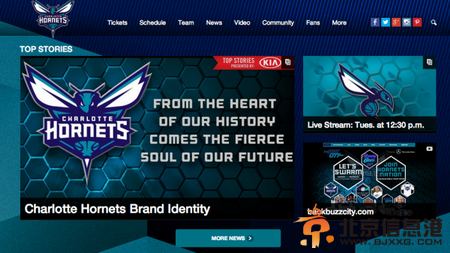 山猫官方网站正式改名为黄蜂