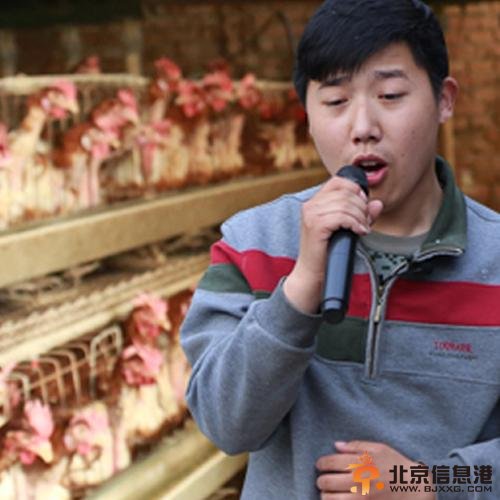 草地哥现身《寻找好声音》 鸡棚唱歌鸡仔安静
