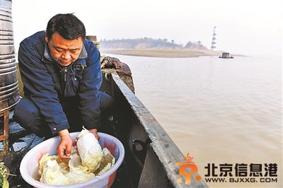 保护江豚组织内斗激烈 江豚守护力量元气大伤