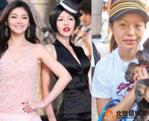 李冰冰姐姐李雪身份曝光 女星绝色姐妹花揭秘【组图】