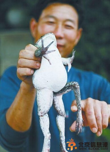 □记者陈沛文李斐斐摄影