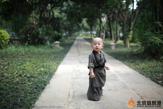 西禅寺超萌
