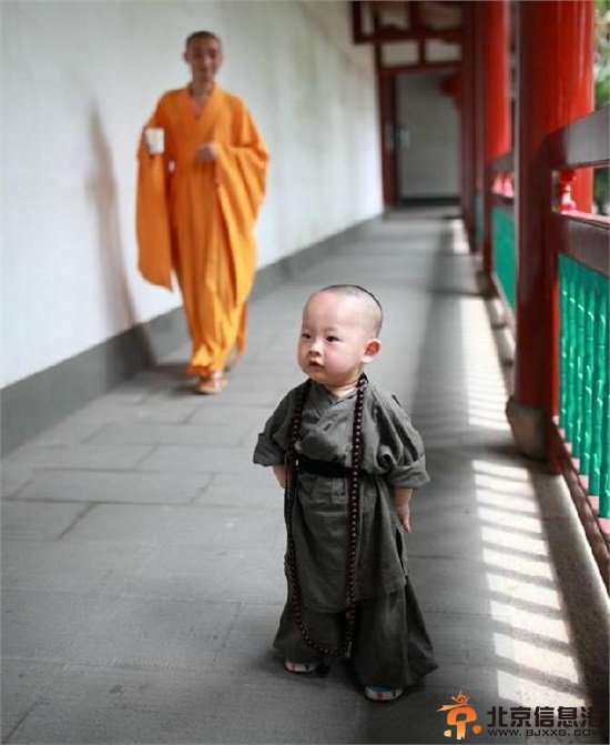 “西禅寺小和尚”超萌写真爆红网络 网友调侃：问过爸爸妈妈没？