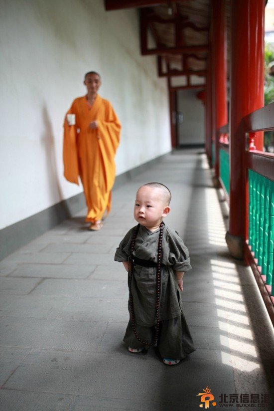 福州西禅寺小和尚写真曝红 转发近一万次