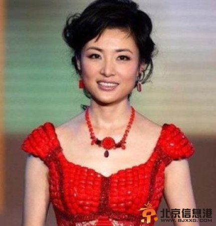 李瑞英证实与张宏民将告别《新闻联播》 退居幕后