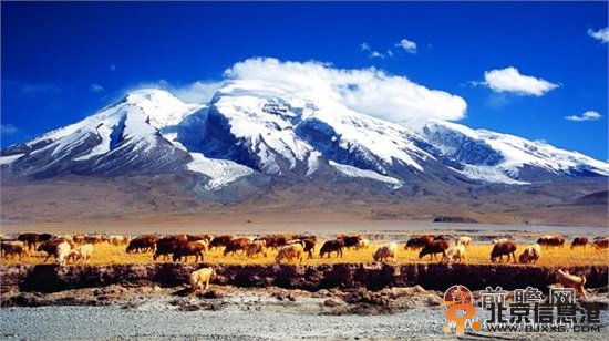 赴疆旅游可获500元 点评：游客不会冲着这500块钱而去