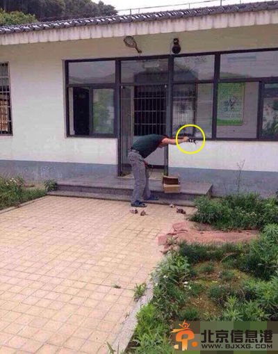 杭州犬类收容所堪比屠宰场 饲养员摔死7只小狗面不改色心不跳