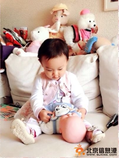 贾乃亮上节目模仿女儿“啃拖鞋充饥”画面