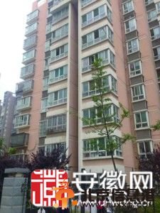 孩子快醒醒 马上就是你的节日了（图）