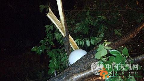组图：北京河北等多地狂风暴雨 廊坊全城停电