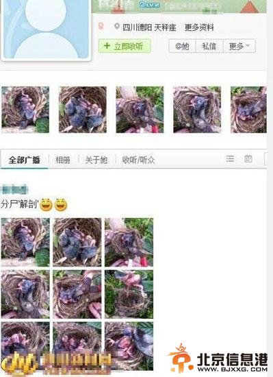 曝四川枇杷西施残忍虐鸟 当事人矢口否认