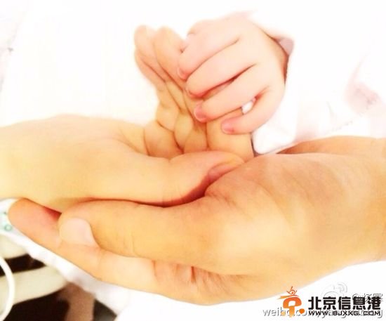 杨幂晒女儿小手照 刘恺威：永远粘着爸妈