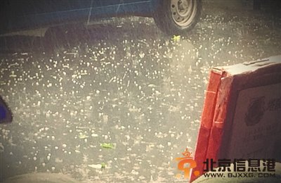 狂风骤雨袭<a href='http://www.bjxxg.cn/news/beijing/' target='_blank'><u>北京</u></a> 延庆最大风力11级