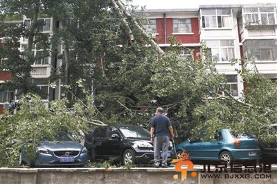 狂风骤雨袭<a href='http://www.bjxxg.cn/news/beijing/' target='_blank'><u>北京</u></a> 延庆最大风力11级