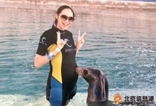 女星大肚照比美：梁静茹俏皮 应采儿美艳