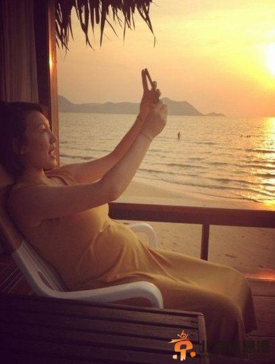 女星大肚照比美：梁静茹俏皮 应采儿美艳