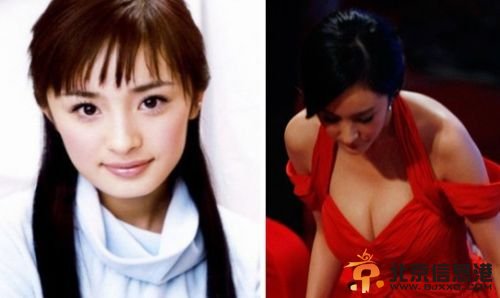 <a href='http://www.bjxxg.cn/ent/mingxing/' target='_blank'><u>女明星</u></a>成名前后整容对比 范冰冰刘嘉玲赵丽颖杨幂
