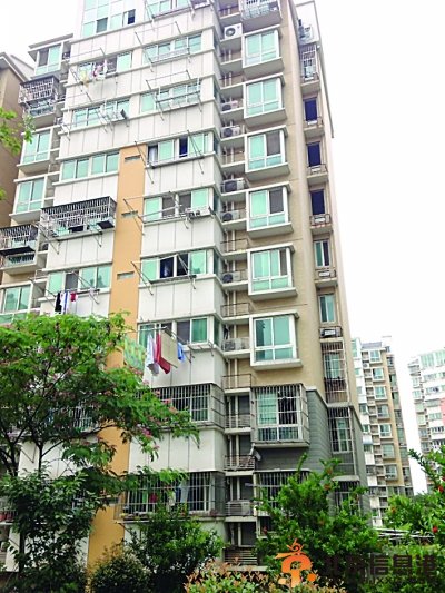 大图：案发楼栋